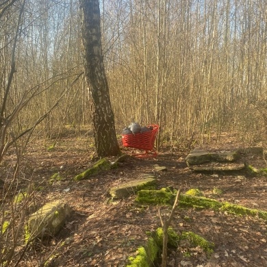 Społeczna akcja sprzątania lasu na osiedlu Piastów - 09.03.2024