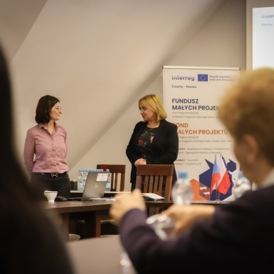 Szkolenie dla potencjalnych wnioskodawców programu Interreg Czechy-Polska - 12.03.2024