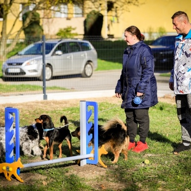 Nowy psi park w Pszczynie - 28.03.2024