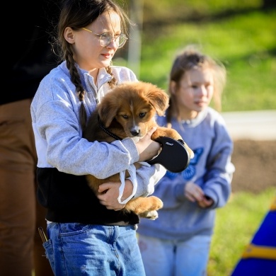 Nowy psi park w Pszczynie - 28.03.2024