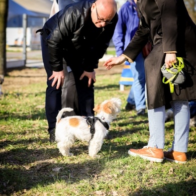 Nowy psi park w Pszczynie - 28.03.2024