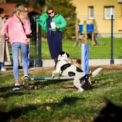 Nowy psi park w Pszczynie - 28.03.2024