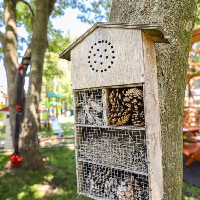 Nowa Ekopracownia pod chmurką w szkole w Studzionce - 27.05.2024