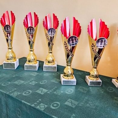 IX Festiwal Szachowy z Okazji Dnia Dziecka o Puchar Burmistrza Pszczyny - 01.06.2024