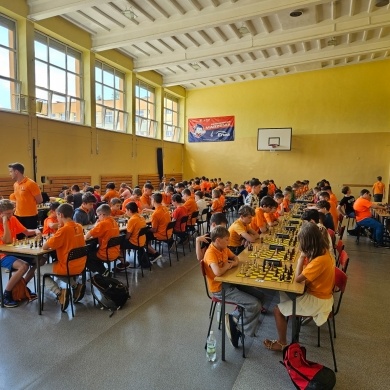 X Festiwal Szachowy
