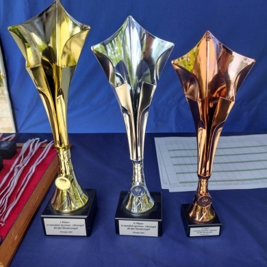 Zawody sportowo-obronne szkół ponadpodstawowych - 17.06.2025